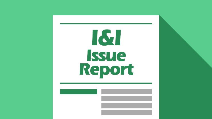 iniresearch_issue_thumb